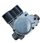 Buderus Logamax Plus GB072 Kombi Gaz Valfi (Söküm)