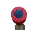 Emniyet Ventili 3 Bar Pakkens CW 617N DN15 (1-2 İç Dişli) 2