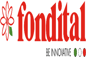 fondital kombi yedek parça